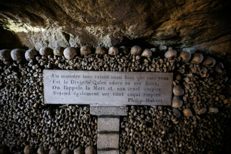 Des ossement entreposés dans les catacombes de Paris, le 12 décembre 2023 ( AFP / JULIEN DE ROSA )