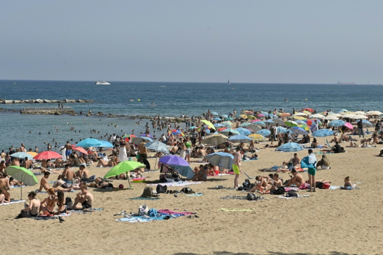 La Ligue contre le cancer lance une campagne de prévention appelant à ne pas "griller" sa peau au soleil cet été ( AFP / Pau BARRENA )