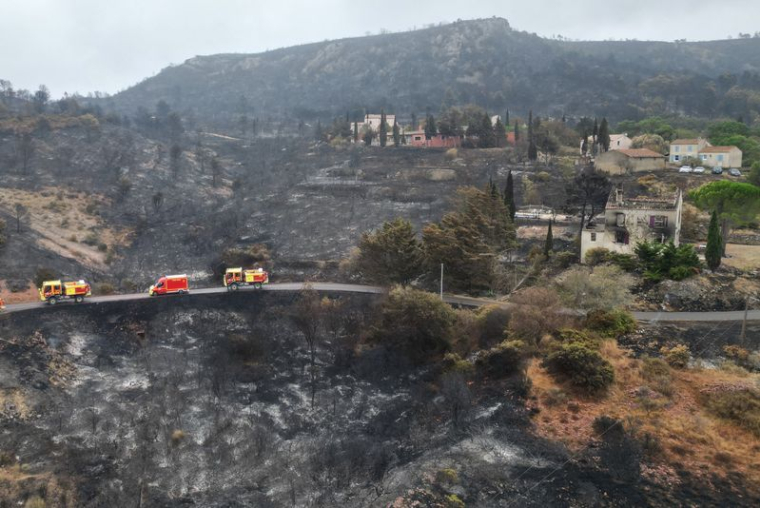Dégâts causés par les incendies de forêt dans le sud de la France