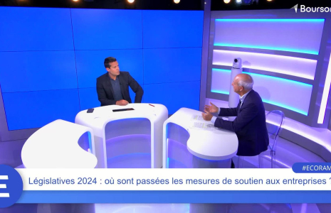 Législatives 2024 : où sont passées les mesures de soutien aux entreprises ?