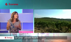 La Corse : paradis fiscal ?
