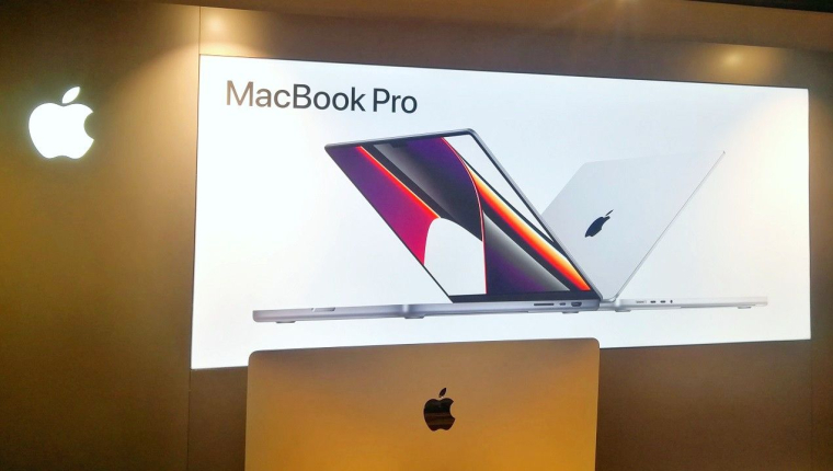 (Crédits photo :  - L. Grassin )