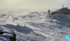 Mongolie : le bétail décimé par une vague de froid, les nomades contraints de se sédentariser