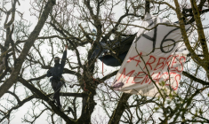 Des défenseurs de l'environnement dans un arbre sur le tracé de l'A69, à Castres, le 27 février 2025 ( AFP / Ed JONES )