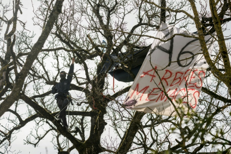 Des défenseurs de l'environnement dans un arbre sur le tracé de l'A69, à Castres, le 27 février 2025 ( AFP / Ed JONES )