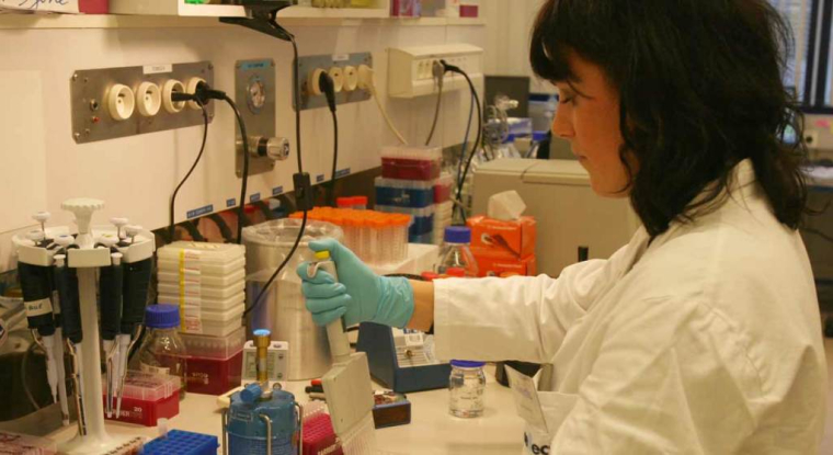 Cellectis bénéficie désormais d'une trésorerie nette de 450 millions de dollars. (© Cellectis)