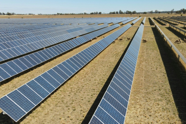 Des panneaux solaires dans la ferme photovoltaïque de Tom Warren près de la ville australienne de Dubbo, à environ 400 kilomètres à l'ouest de Sydney, le 19 janvier 2026  ( AFP / Gregory Plesse )