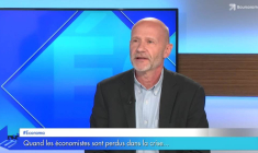 Quand les économistes sont perdus dans la crise...