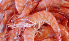 Des crevettes vendues en vrac partout en France sont rappelées par Rappel Conso. (illustration) (magdus / Pixabay)