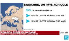 Invasion militaire russe dans le Donbass : quelles conséquences sur l'économie ukrainienne ?