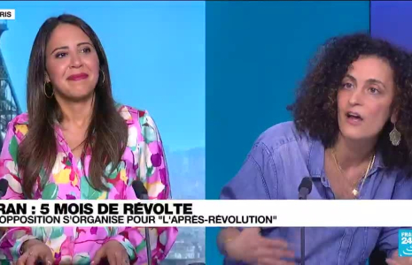 Cinq mois de contestation en Iran : l'opposition s'organise pour "l'après-révolution"
