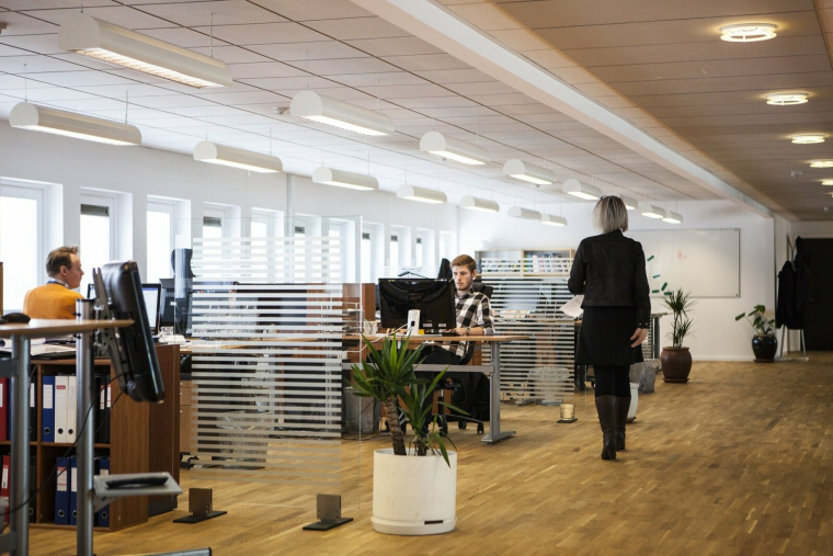 Cette procédure simplifiée et destinée à échelonner rapidement les dettes d'une société en défaillance de moins de dix employés auprès du tribunal de commerce n'est connue que de 44 % des dirigeants interrogés dans le cadre d'un sondage. (Pixabay / louisehoffmann83)