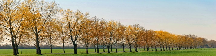 La loi de finances pour 2023 consolide l’investissement dans un Groupement forestier d’investissement – GFI