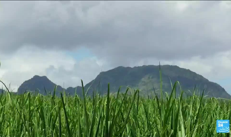 Île Maurice : les indices menant au trésor d'un pirate du XVIIIe siècle découverts sur l'île