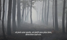 Nouvel incendie dans les Landes: 1.100 hectares parcourus, 500 évacuations