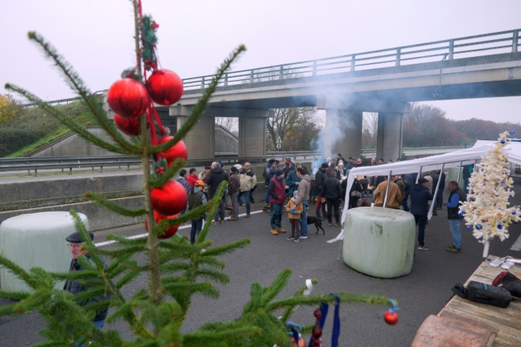 Des agriculteurs bloquent un accès à l'A64 en signe de protestation, notamment contre la stratégie gouvernementale d'abattage total des troupeaux touchés par la dermatose nodulaire contagieuse (DNC), le 14 décembre 2025 à Carbonne, en Haute-Garonne ( AFP / Germain MICHELET )