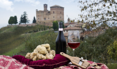 La truffe blanche d’Alba, un met d’exception (Crédits photo : Shutterstock)