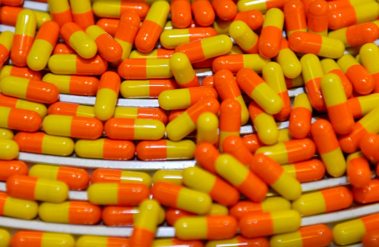 ( AFP / GERARD JULIEN )