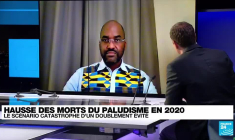 Hausse des morts du paludisme en 2020: "La Covid a eu un impact certain"