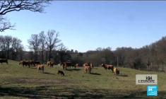 Best of : Spéciale élections européennes