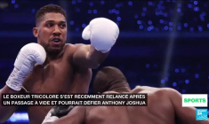 L'OGC Nice entame sa saison contre Benfica au 3e tour préliminaire de la Ligue des champions