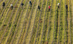 ( AFP / FRANCOIS NASCIMBENI )