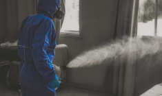 La municipalité a mis en place une adresse mail pour que les Beauvaisiens, locataires ou propriétaires, puissent immédiatement prévenir de la présence de l'insecte à leur domicile. (dimitrisvetsikas1969 / Pixabay)