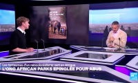 "Néocolonialisme" vert en Afrique ? L'ONG African Parks épinglée pour abus