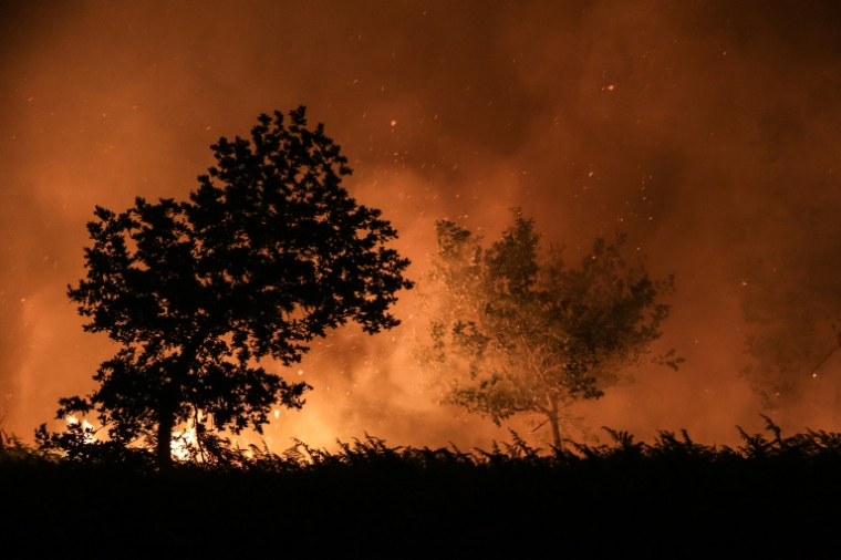 Un incendie entre les communes de Landiras et Guillos, en Gironde, le 13 juillet 2022 ( AFP / Thibaud MORITZ )
