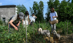 Chen Yani (d), fondatrice du lieu "L'Univers imaginaire de Keke", dans le potager du gîte rural avec des  participantes, le 14 juillet 2025 à Hangzhou, dans la province du Zhejiang, dans l'est de la Chine ( AFP / Jade GAO )
