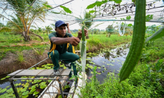 n soldat de la Force opérationnelle spéciale sri-lankaise (STF) travaille dans une plantation à Katukurunda pour remettre en culture des champs pollués par le sel de la mer, le 28 mars 2025 au Sri Lanka ( AFP / Ishara S. KODIKARA )