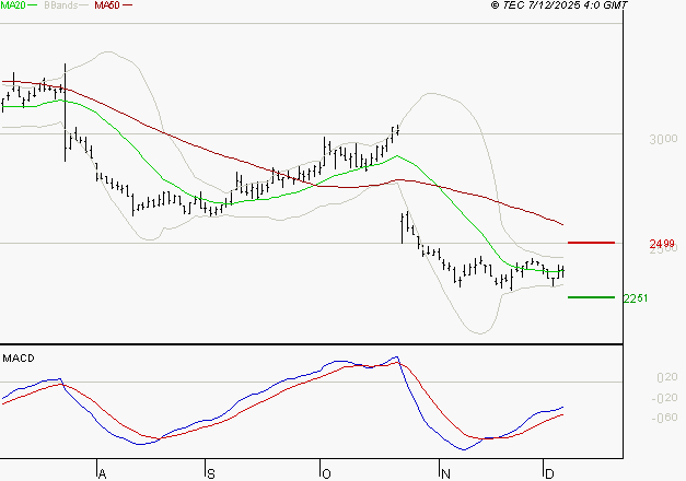DASSAULT SYSTEMES SA : Attendre un test du support