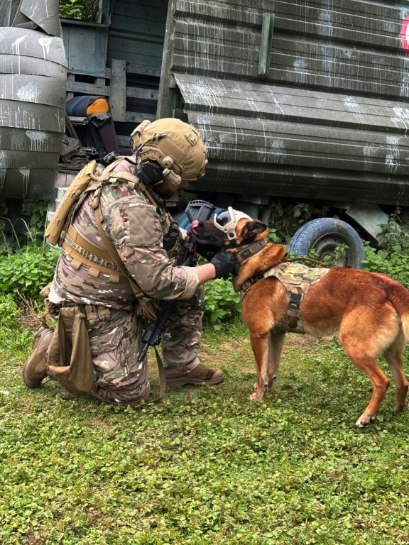 Le sergent-chef Dorian, du commando parachutiste de l'Air 20 (CPA 20), met un masque de protection à Peyo, un berger belge malinois, avant une démonstration de recherche d'explosifs à la base aérienne de Vélizy-Villacoublay, le 28 mai 2025 dans les Yvelines ( AFP / Mathieu RABECHAULT )