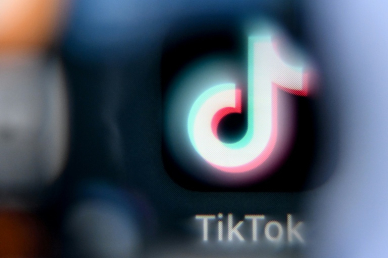 Un rapport parlementaire sur TikTok dévoilé jeudi préconise l'interdiction des réseaux sociaux aux moins de 15 ans et la mise en place d'un "couvre-feu numérique" pour les 15-18 ans ( AFP / Kirill KUDRYAVTSEV )
