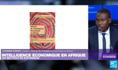L'intelligence économique en Afrique, un secteur en expansion
