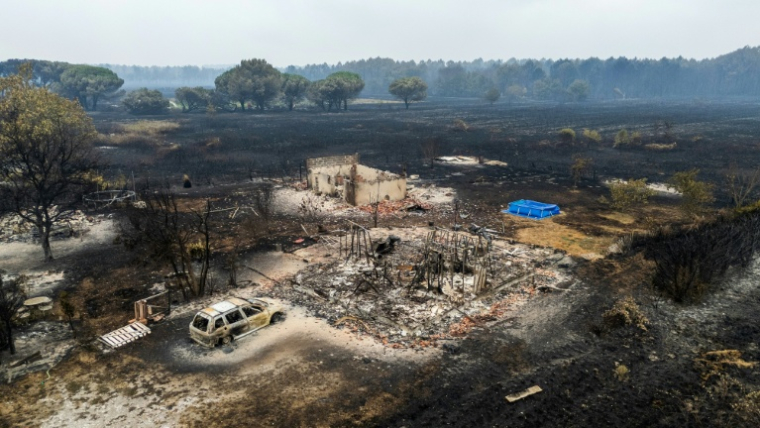 Vue aérienne des dégâts après un incendie de forêt à Le Porge, en Gironde, le 26 juillet 2026  ( AFP / Florian PLAUCHEUR )