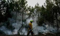Pompier au Porge (Gironde) le 30 juillet 2026 ( AFP / Philippe Lopez )