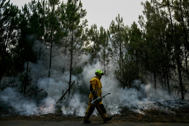 Un pompier dans une forêt au Porge, au nord du bassin d'Arcachon, le 30 juillet 2026, pendant les incendies de forêt qui touchent la Gironde, dans le sud-ouest de la France. ( AFP / Philippe Lopez )