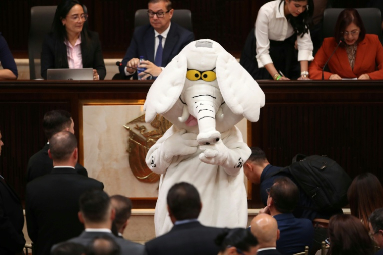 Le nouveau sénateur colombien et militant anticorruption, Luis Carlos Rúa, vêtu de son costume d'éléphant blanc, lors de la séance de prestation de serment au Congrès, le 20 juillet 2026 à Bogota ( AFP / ESTEBAN VEGA LA-ROTTA )