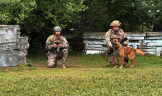 Des maîtres-chiens s’apprêtent à lancer un drone qui guidera Peyo, un berger belge malinois du Commando parachutiste de l’Air 20 (CPA20), à la recherche d’explosifs lors d’une démonstration sur la base aérienne de Vélizy-Villacoublay, le 28 mai 2025 dans les Yvelines ( AFP / Mathieu RABECHAULT )