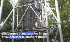 À Fontainebleau, une IA sobre en énergie s'entraîne à détecter les feux de forêt