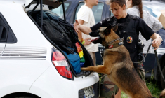 Inspection d'une voiture d'un participant au Teknival à Cornusse, près de Bourges le 4 mai 2026 ( AFP / Kenzo TRIBOUILLARD )