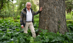 Le botaniste français Francis Halle, à Montpellier le 10 avril 2017 ( AFP / PASCAL GUYOT )