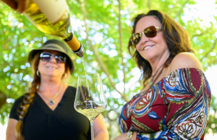Des touristes participent à une dégustation de vin à Grgich Hills Estate, à Rutherford, dans la Napa Valley, en Californie, le 5 octobre 2026 ( AFP / Josh Edelson )