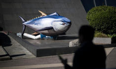 A Genève, le 15 septembre 2025. ( AFP / FABRICE COFFRINI )