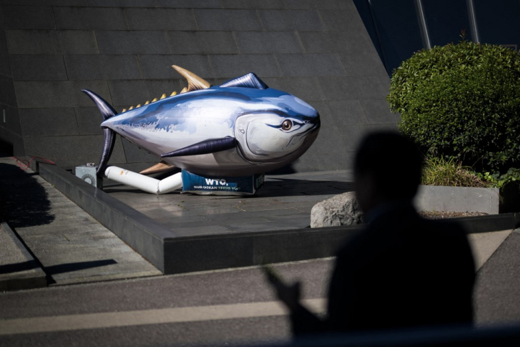 A Genève, le 15 septembre 2025. ( AFP / FABRICE COFFRINI )