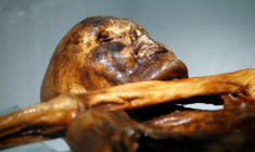 La momie d'Ötzi au musée archéologique de Bolzano (Italie), le 28 février 2011 ( AFP / Andrea Solero )