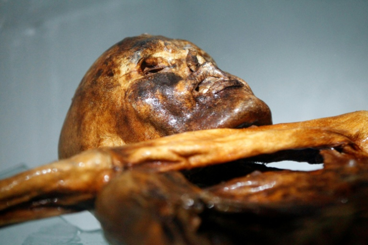 La momie d'Ötzi au musée archéologique de Bolzano (Italie), le 28 février 2011 ( AFP / Andrea Solero )