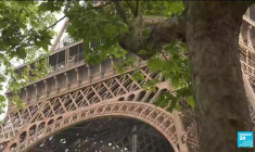 France : l'abattage prévu d'arbres au pied de la Tour Eiffel suscite la polémique