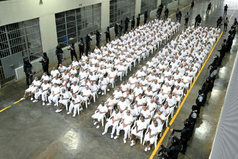 Des membres du gang Mara Salvatrucha (MS-13) lors d'un procès de masse par vidéoconférence au Centre de détention pour terroristes (CECOT) de Tecoluca, au Salvador, le 23 avril 2026 ( AFP / Marvin RECINOS )